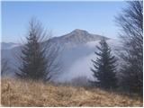 Reka - Kojca